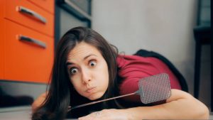 Infestazione di insetti in casa - Fsi.it