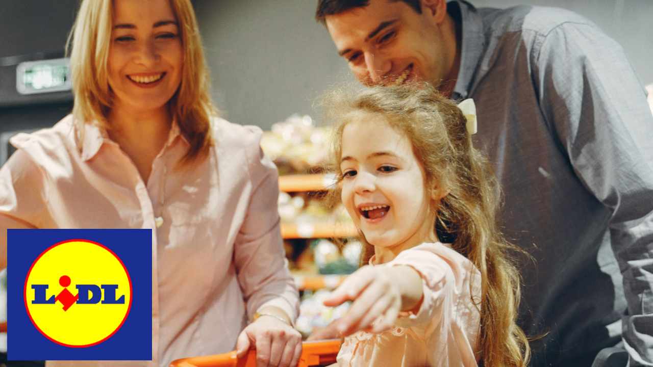 Spesa da Lidl - Fsi.it