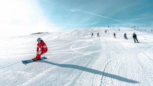 sci - pexels- fsi.it