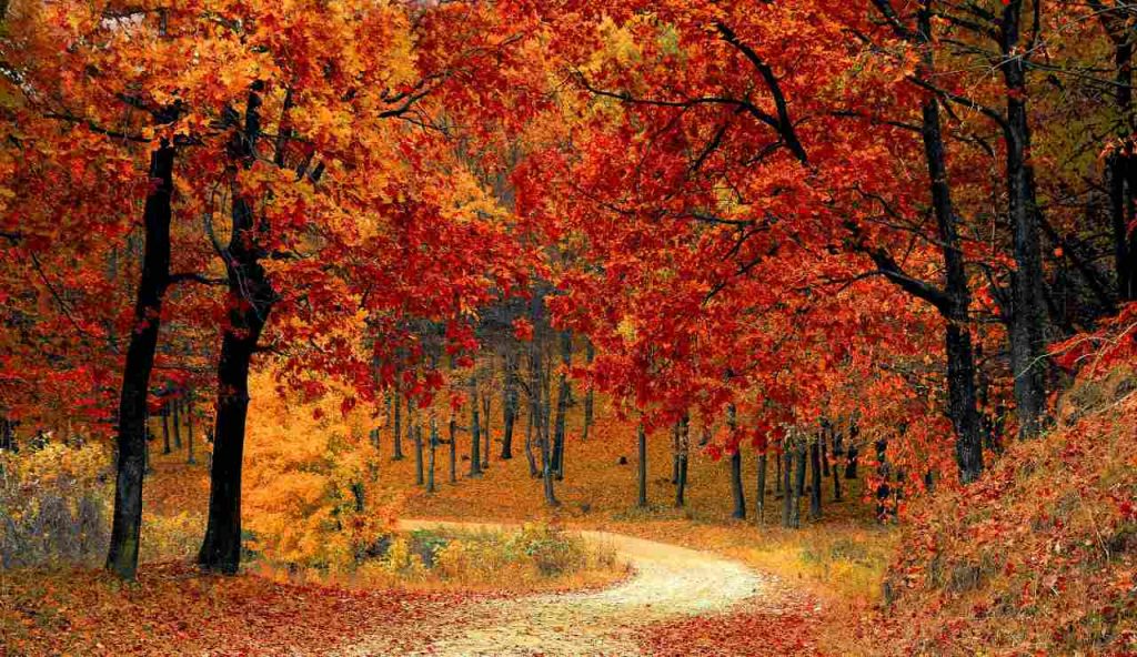 Autunno 2025: i veri borghi da visitare sono quelli che non ti dice nessuno | Le perle italiane nascoste