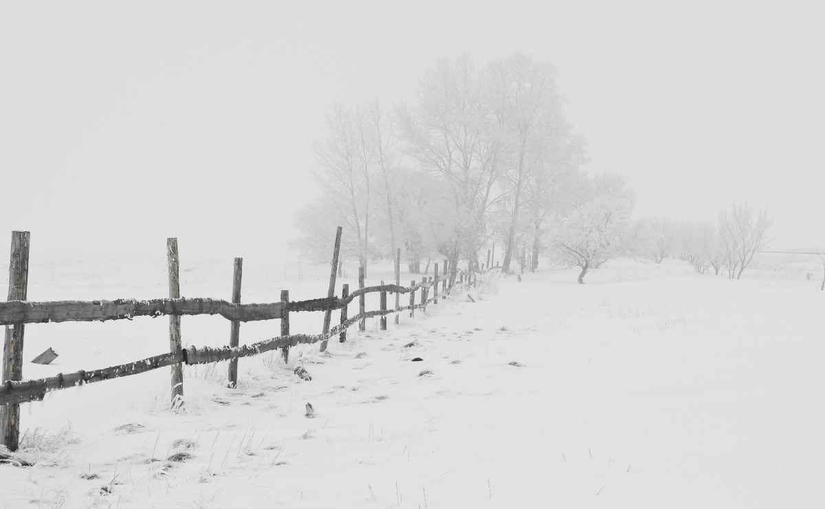 La chiamano “la TASSA NEVE” | Ecco perchè quando imbianca le strade paghi più elettricità: non ci puoi fare niente